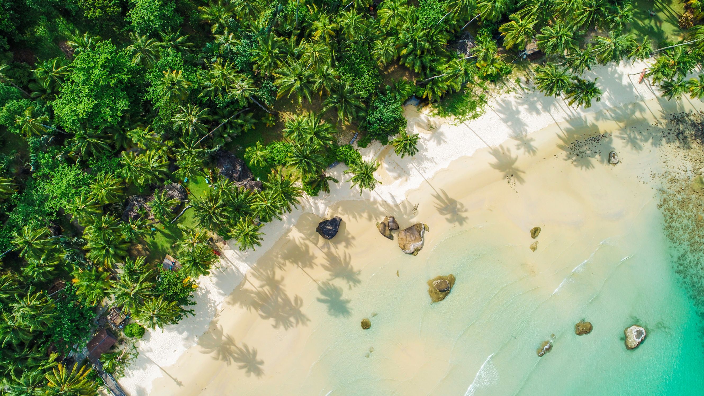 Couple enjoying a scenic, budget-friendly honeymoon