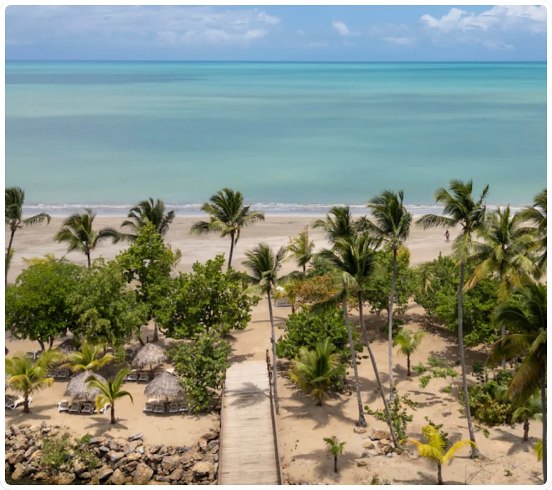 beach with palm trees